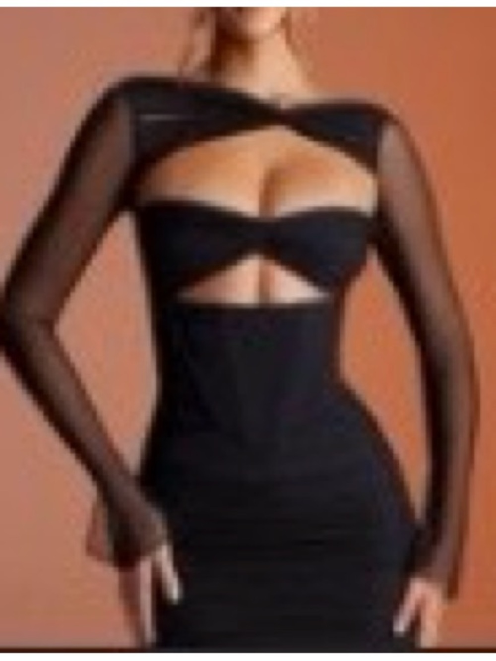 Oh Polly Black Cutout Mesh Long Sleeve Bodycon Dress